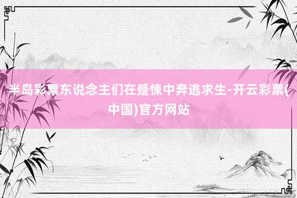 半岛彩票东说念主们在蹙悚中奔逃求生-开云彩票(中国)官方网站