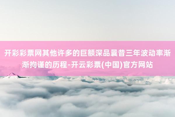 开彩彩票网其他许多的巨额深品曩昔三年波动率渐渐拘谨的历程-开云彩票(中国)官方网站