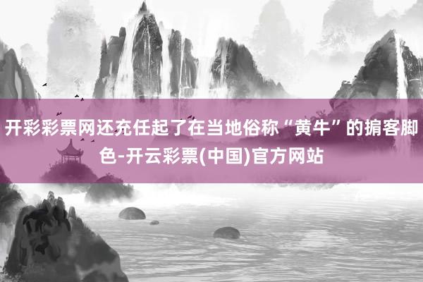 开彩彩票网还充任起了在当地俗称“黄牛”的掮客脚色-开云彩票(中国)官方网站