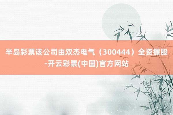 半岛彩票该公司由双杰电气（300444）全资握股-开云彩票(中国)官方网站