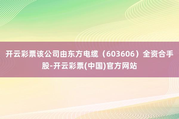 开云彩票该公司由东方电缆（603606）全资合手股-开云彩票(中国)官方网站