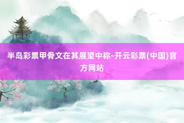 半岛彩票　　甲骨文在其展望中称-开云彩票(中国)官方网站