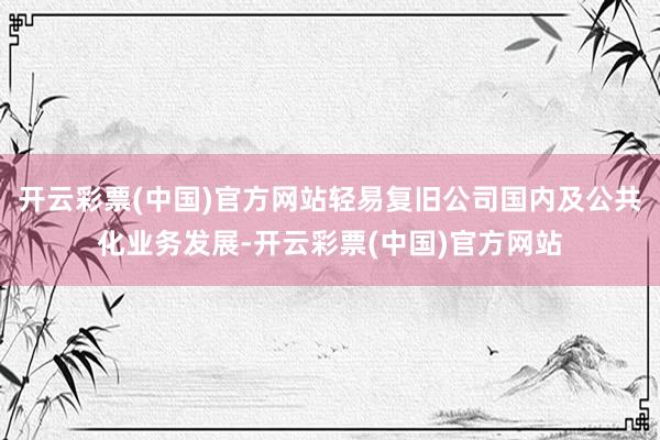 开云彩票(中国)官方网站轻易复旧公司国内及公共化业务发展-开云彩票(中国)官方网站